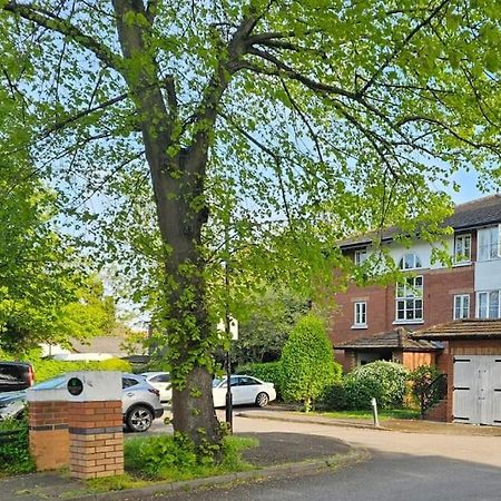 Lovely Flat Close To Shepherd'S Bush Apartamento Londres Exterior foto